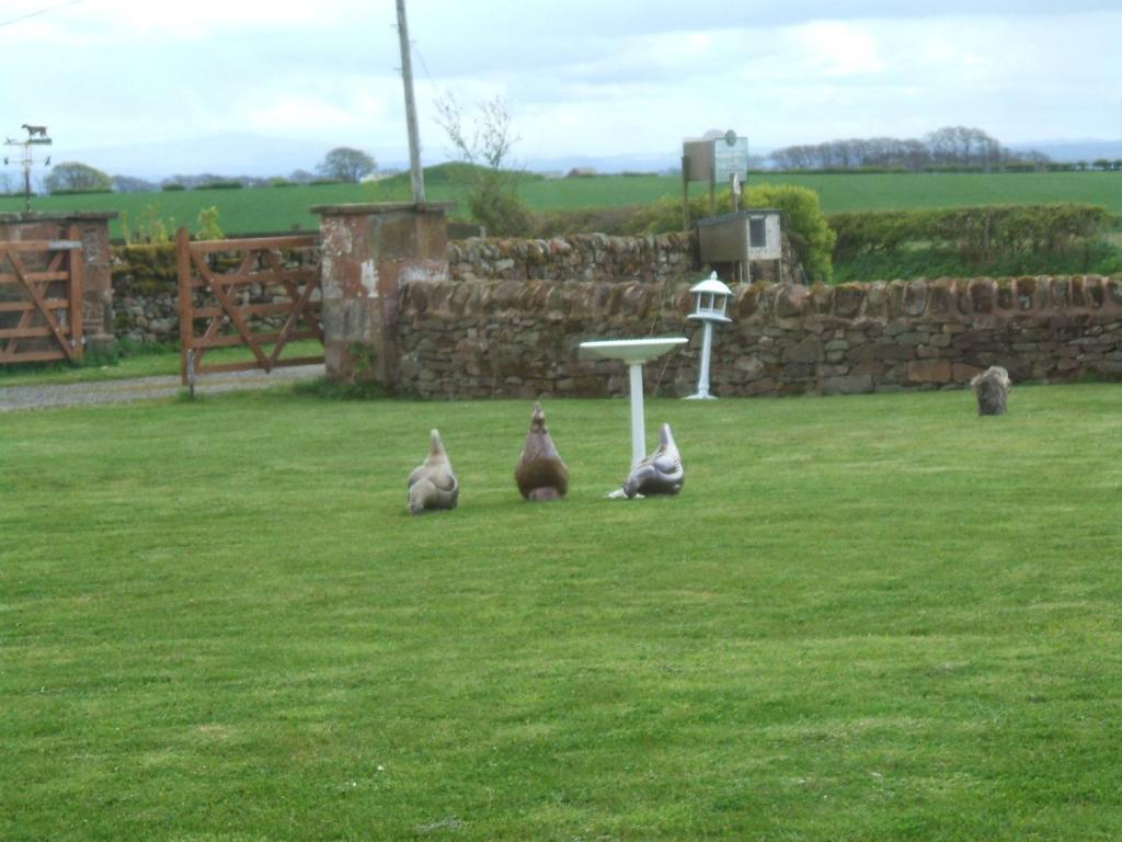 Broadlea Of Robgill Country Cottage & Bed And Breakfast Ecclefechan Room photo